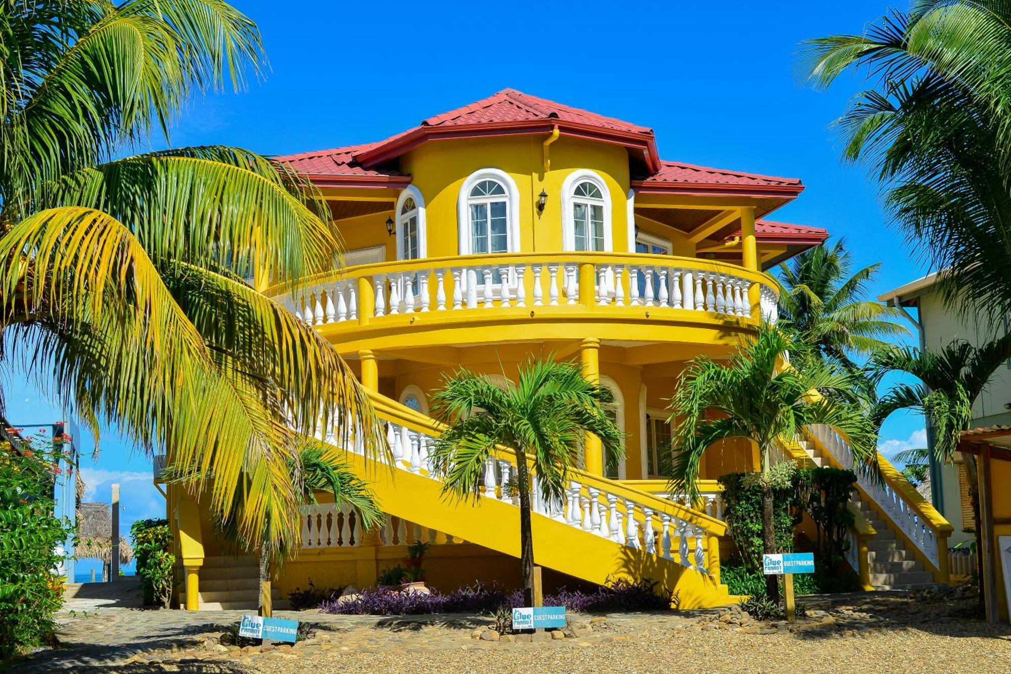 Blue Parrot Beach House And Villas Hopkins Extérieur photo